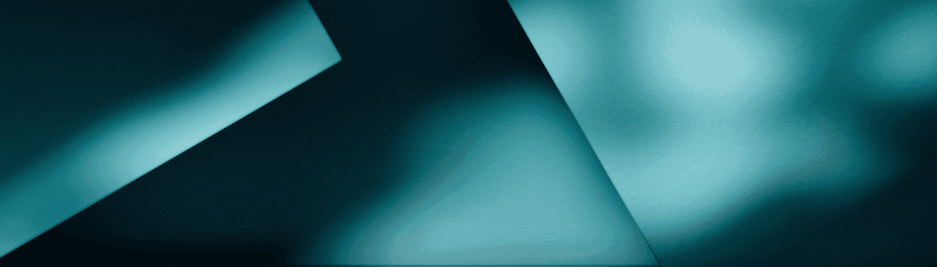 LEIBER-X Technology